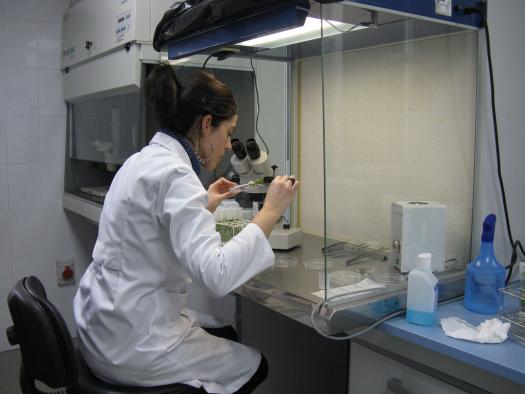 Refuerzo investigador del IRIAF con convocatoria de plazas en proyectos específicos de I+D